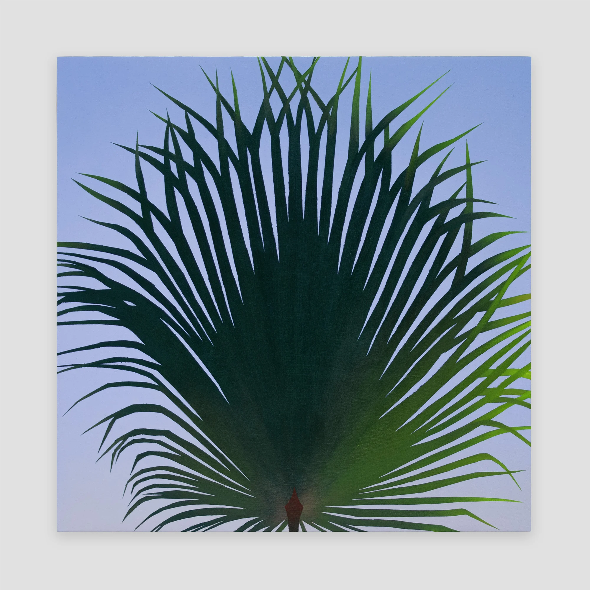 Palmette , 2017, oil on canvas, 28 x 28 in.
