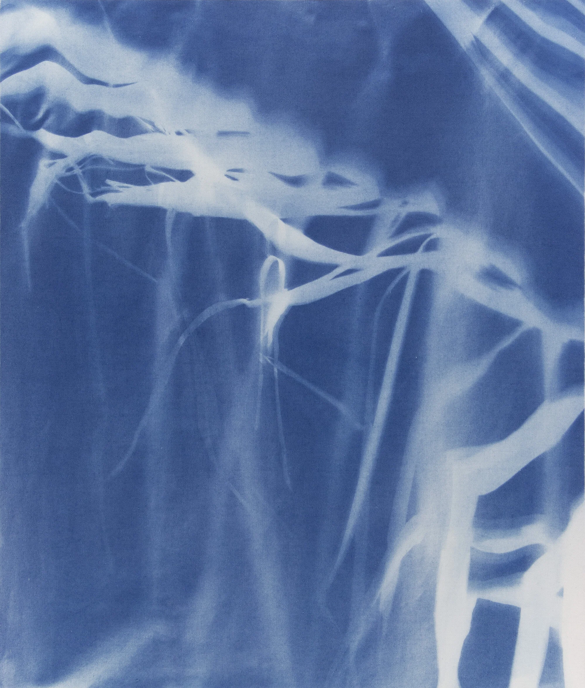 cyanotype1-web.jpg