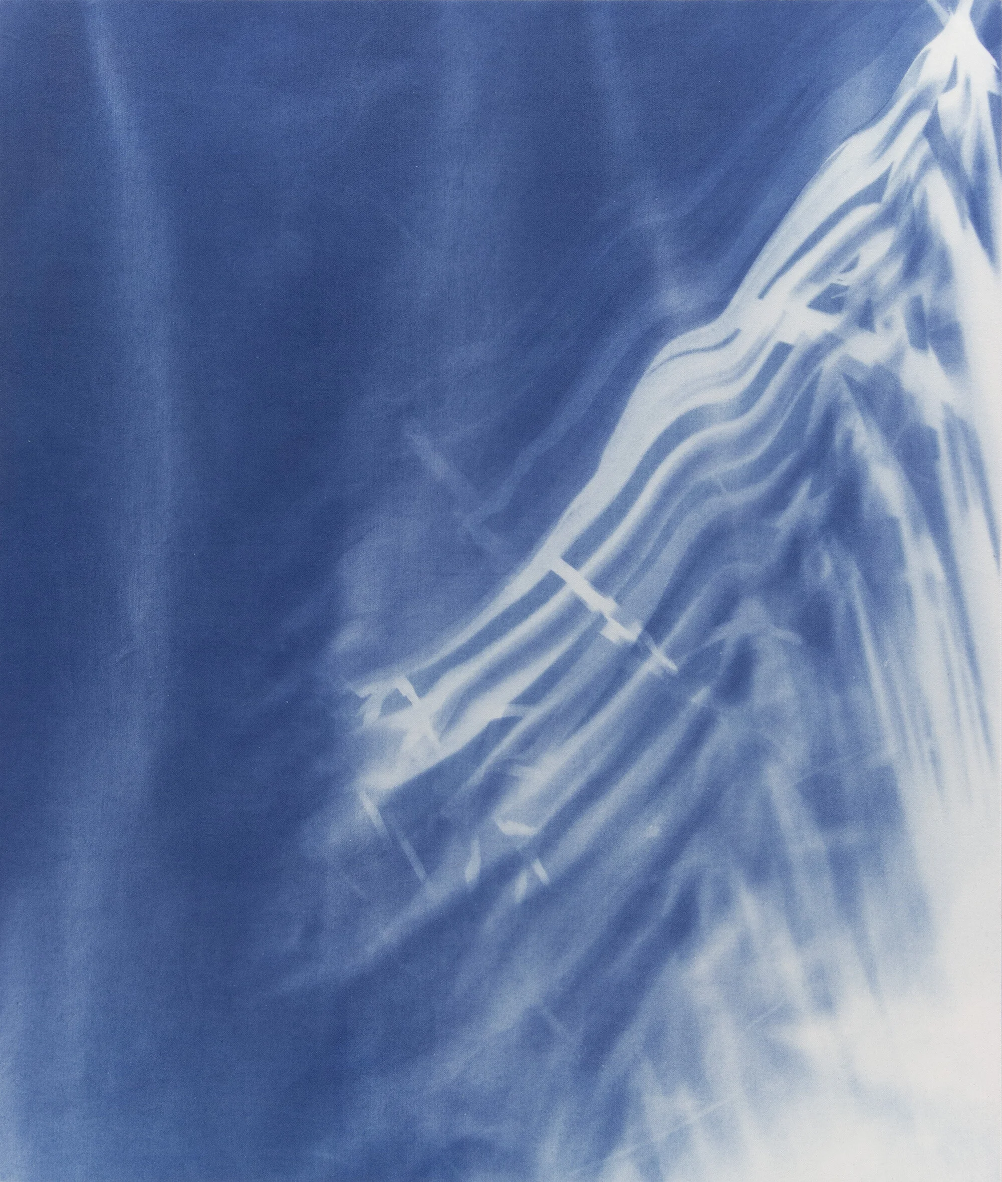 cyanotype2-web.jpg