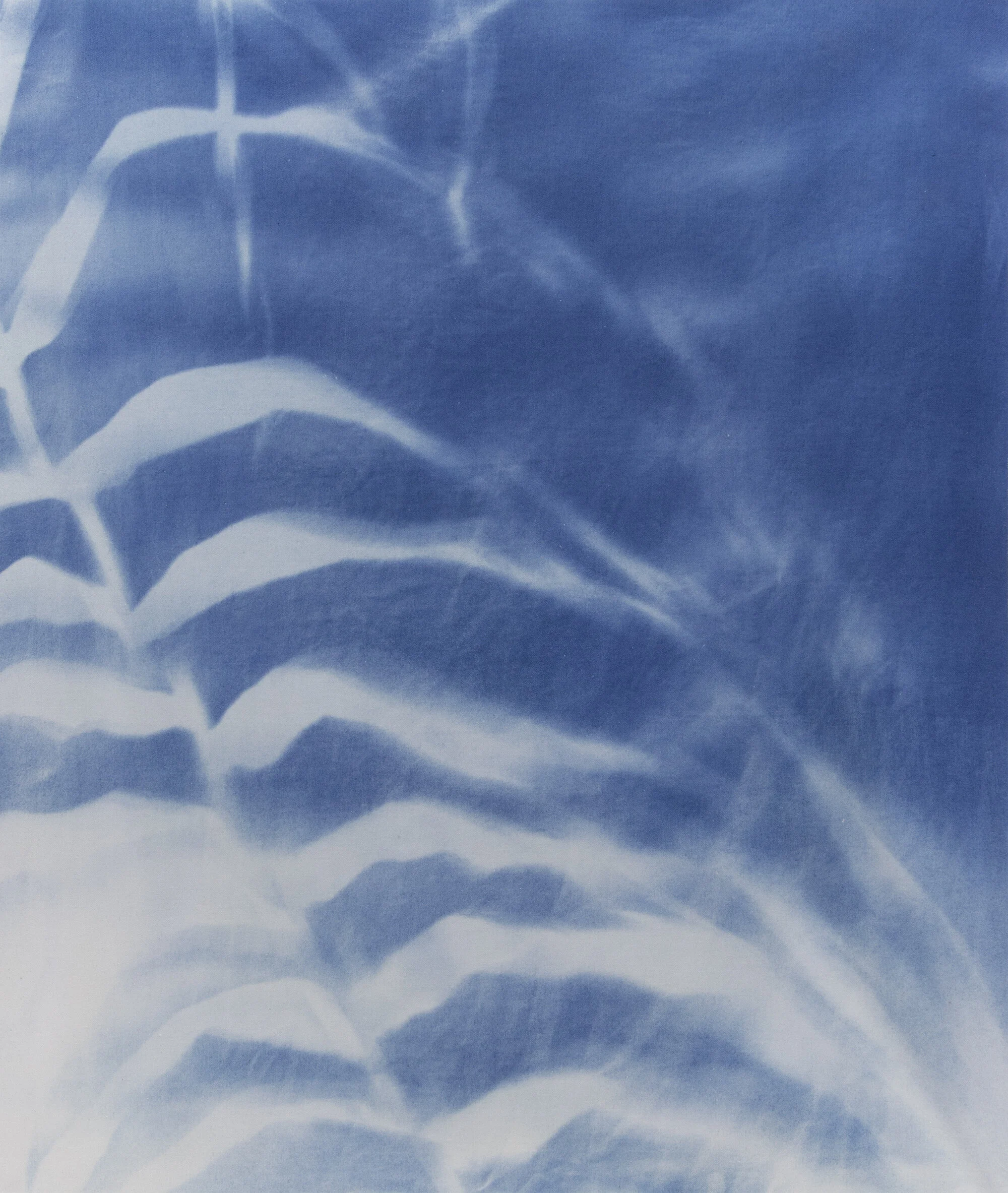 cyanotype3-web.jpg