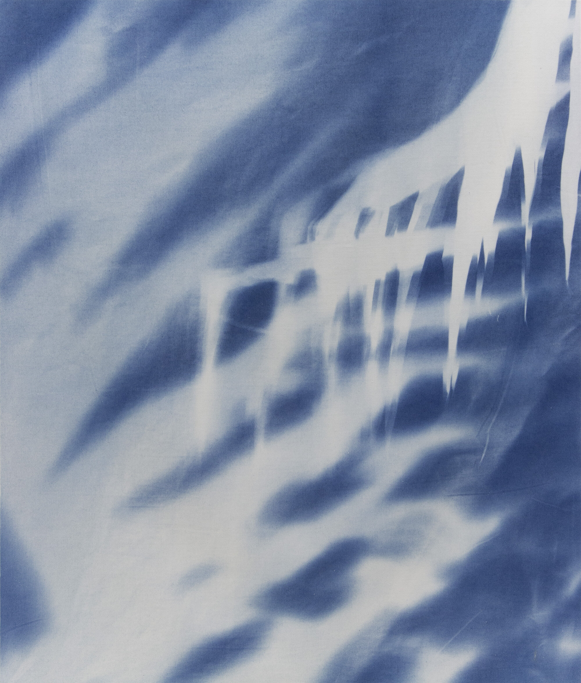 cyanotype4-corrected-web.jpg
