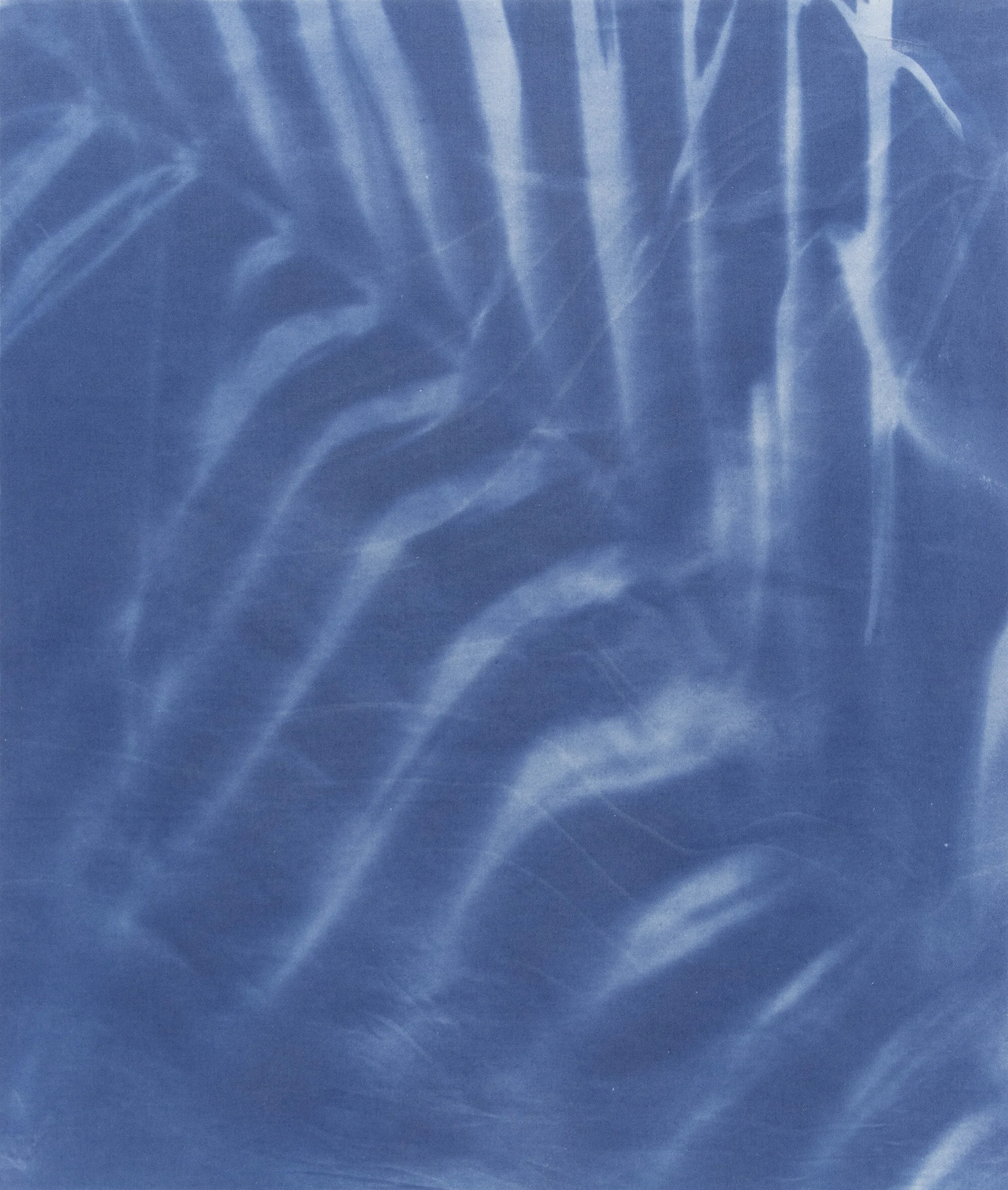 cyanotype5-corrected-web.jpg
