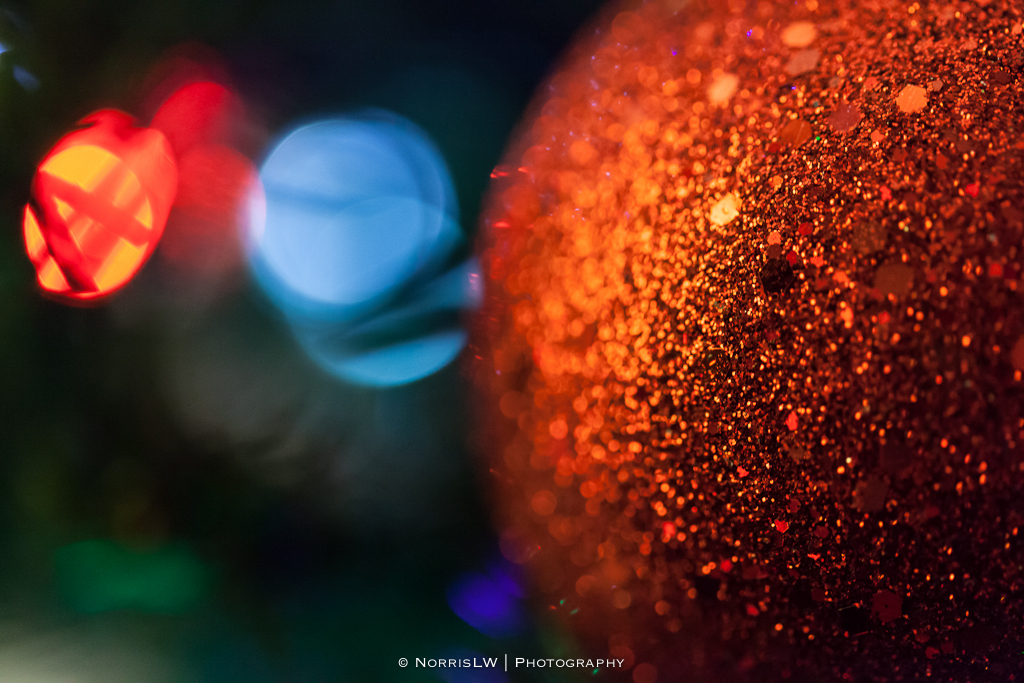 xmas-tree-20121206-001.jpg