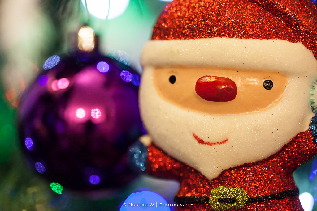 xmas-tree-20121217-002.jpg