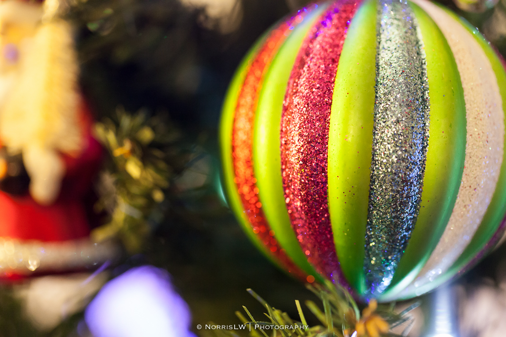 xmas-tree-20121217-003.jpg