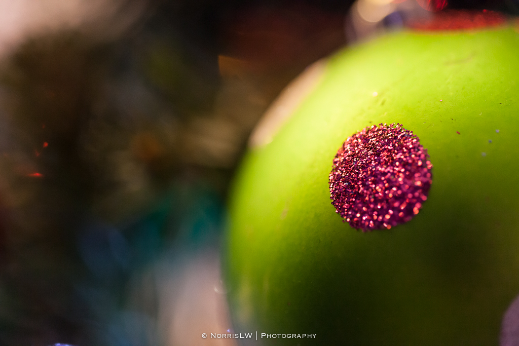 xmas-tree-20121217-006.jpg