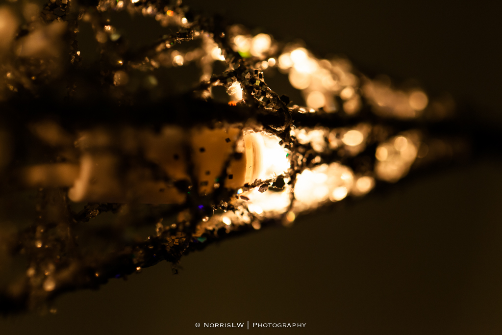 xmas-tree-20121217-010.jpg