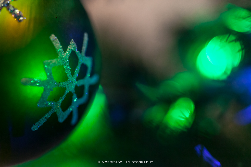 xmas-tree-20121217-017.jpg