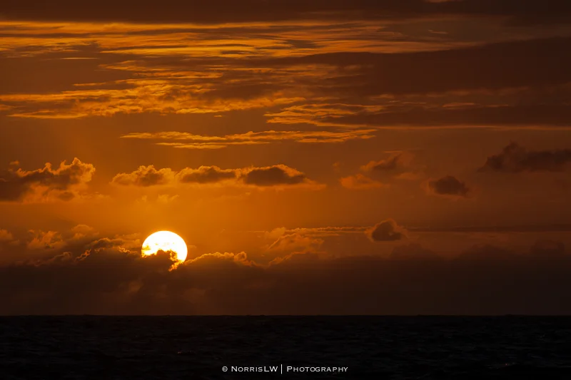 estate-sunset-20130126-005.jpg