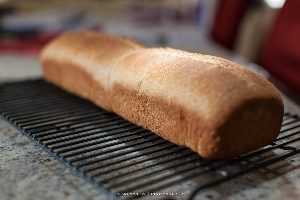 WholeWheatBread-20140928-006.jpg