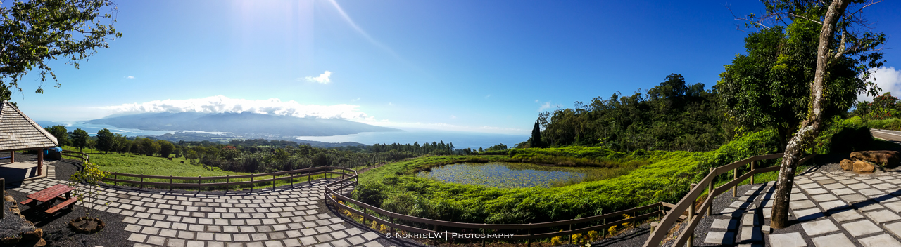 tahiti_landscape-20150522-055.jpg