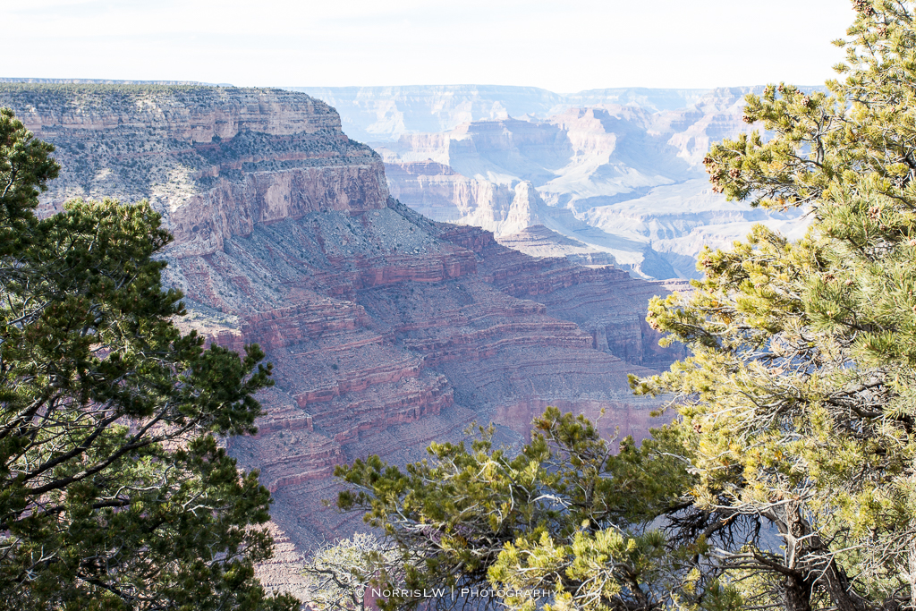LV_Grand_Canyon-20160213-021.jpg