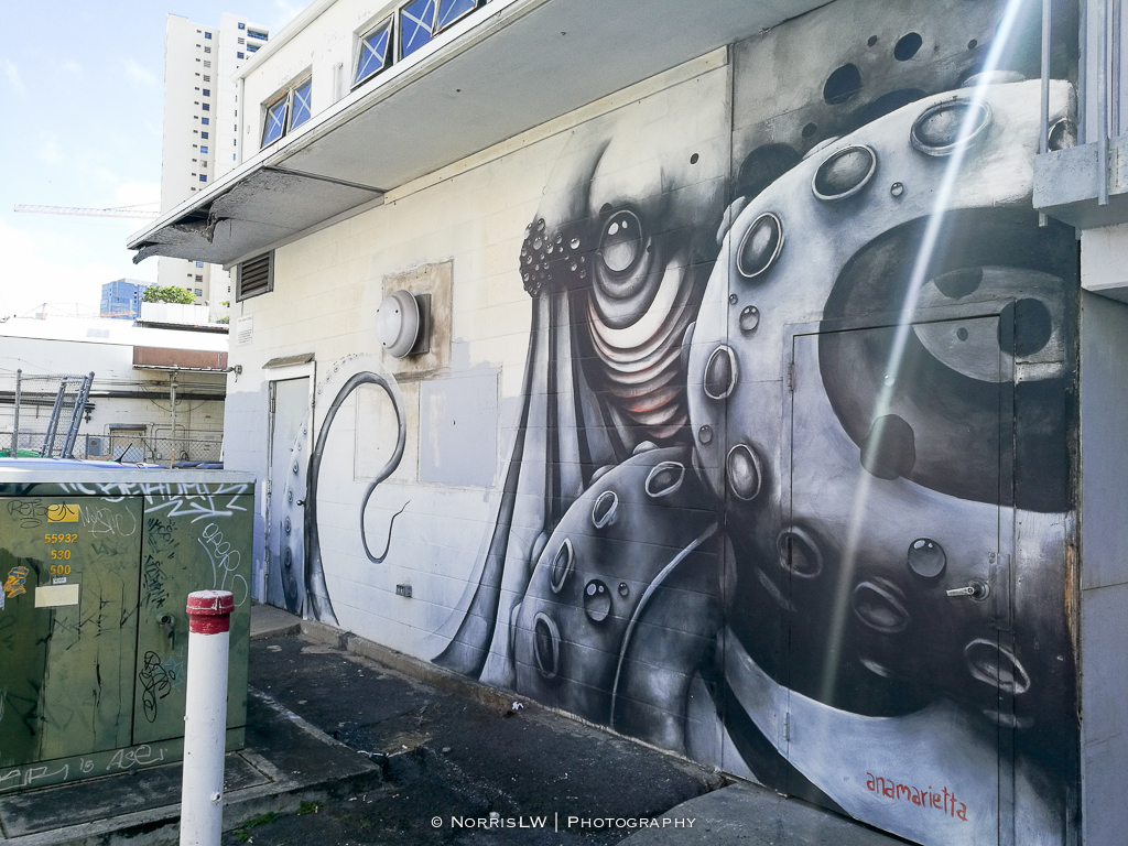 Kakaako_Street_Arts-20170311-056.jpg