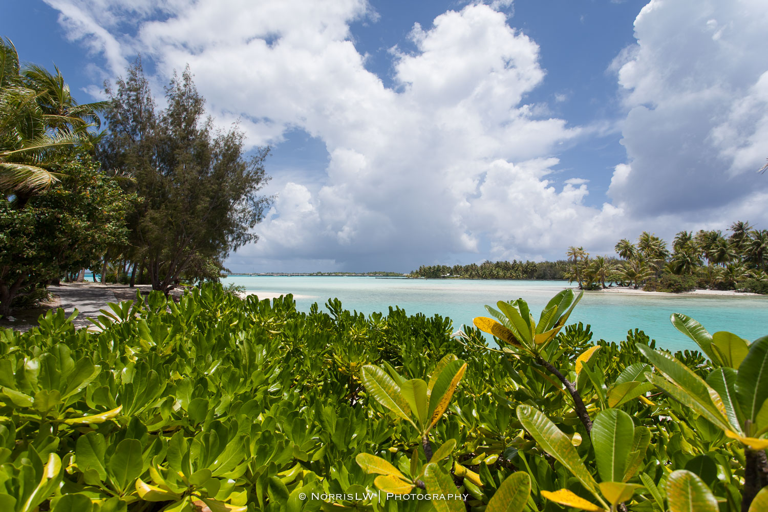 NorrisLWPhotography_Tahiti_BoraBora-20180123-041.jpg