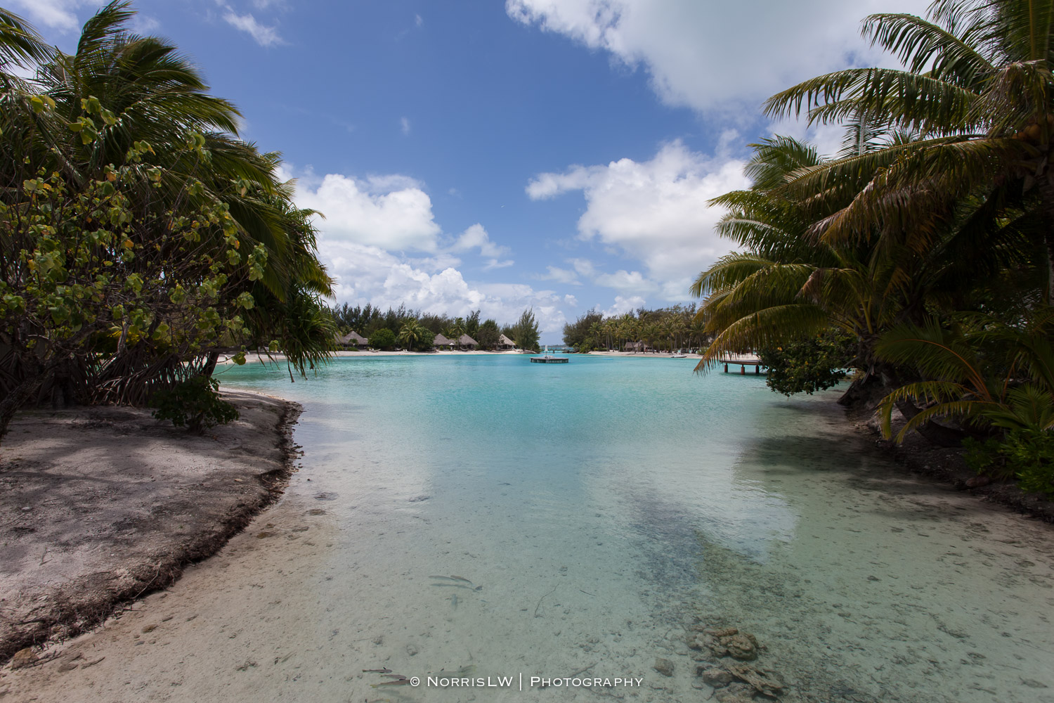 NorrisLWPhotography_Tahiti_BoraBora-20180123-043.jpg