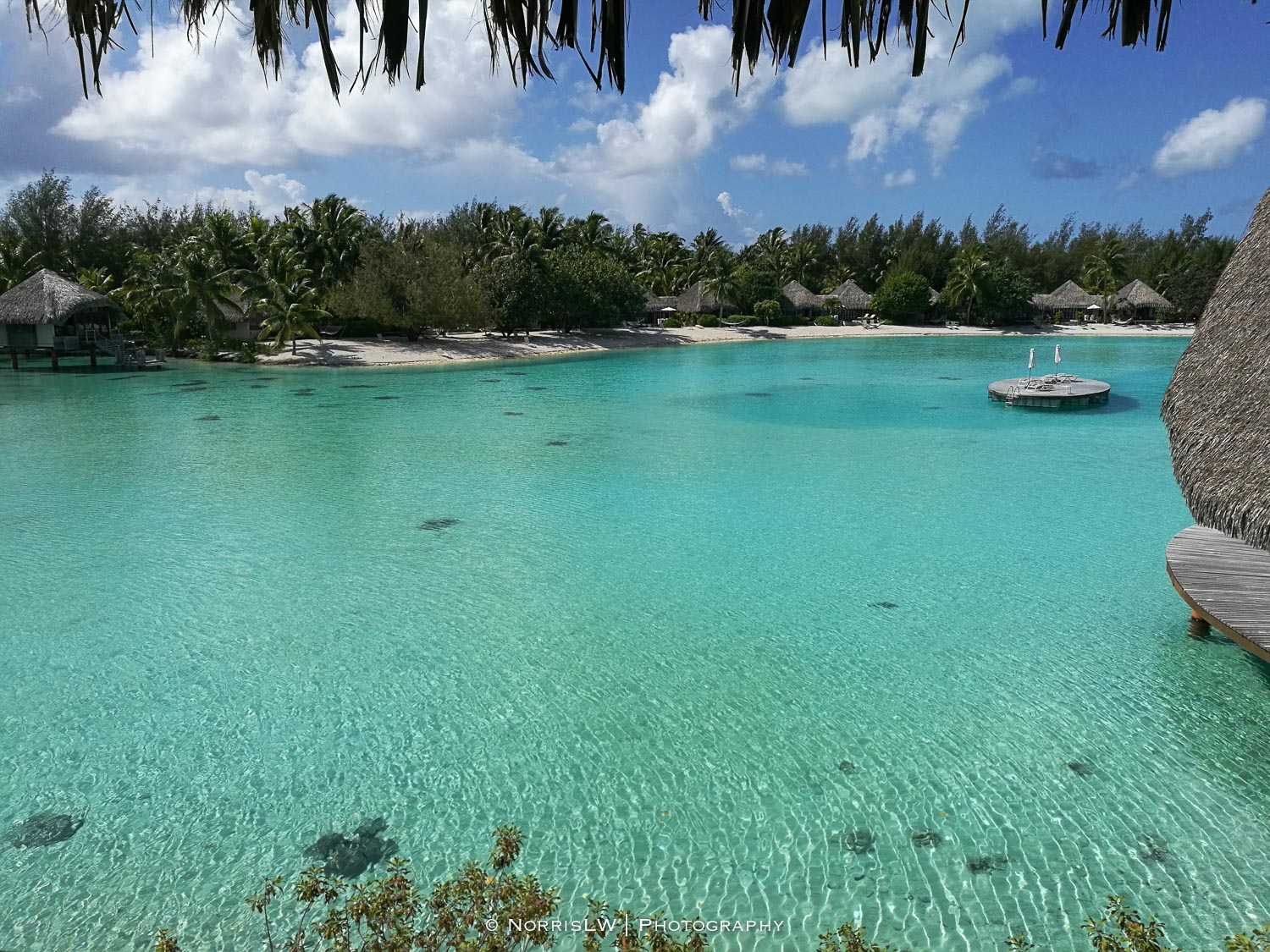 NorrisLWPhotography_Tahiti_BoraBora-20180124-088.jpg