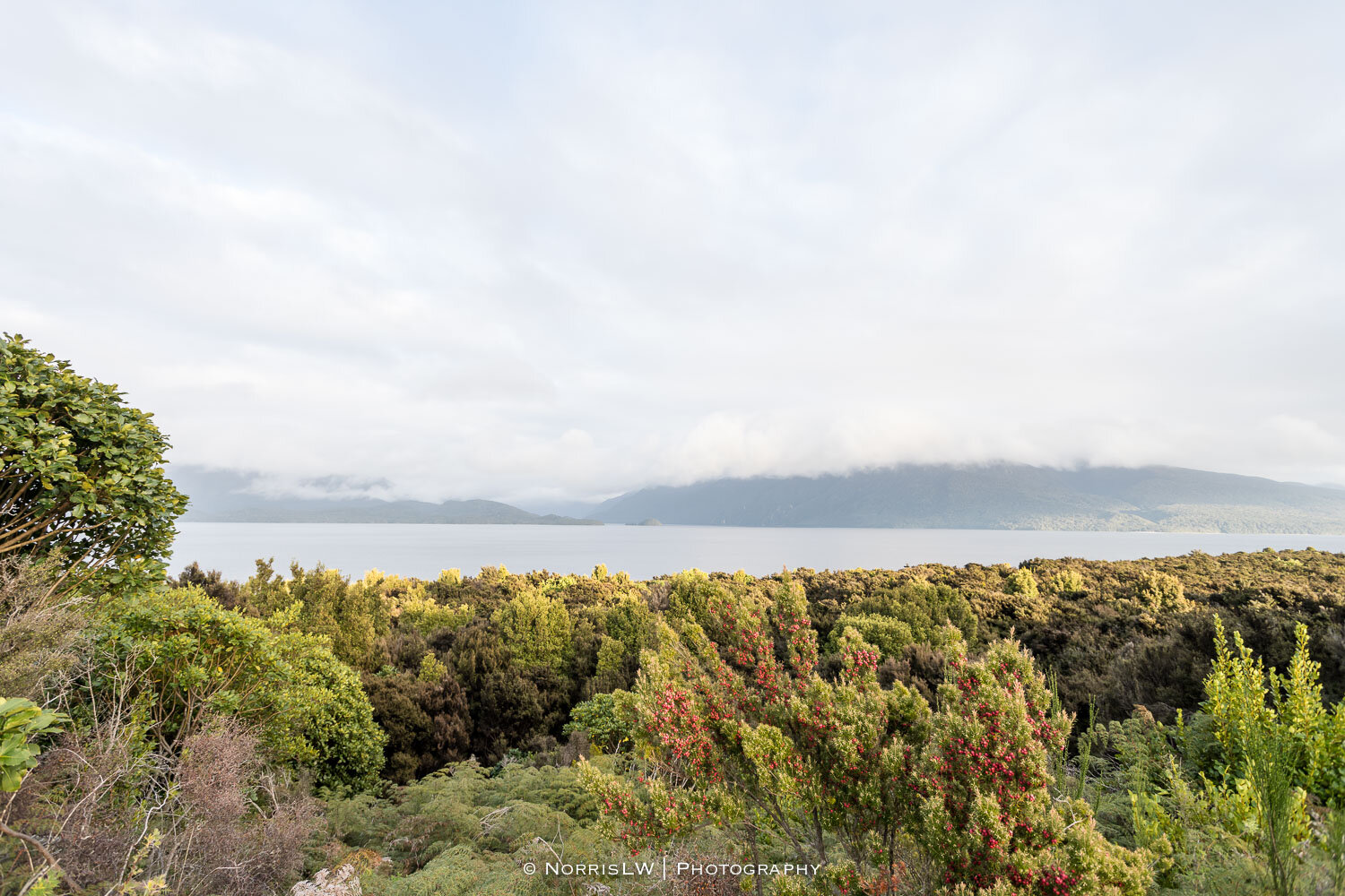 Milford_Sound-20190908-001.jpg