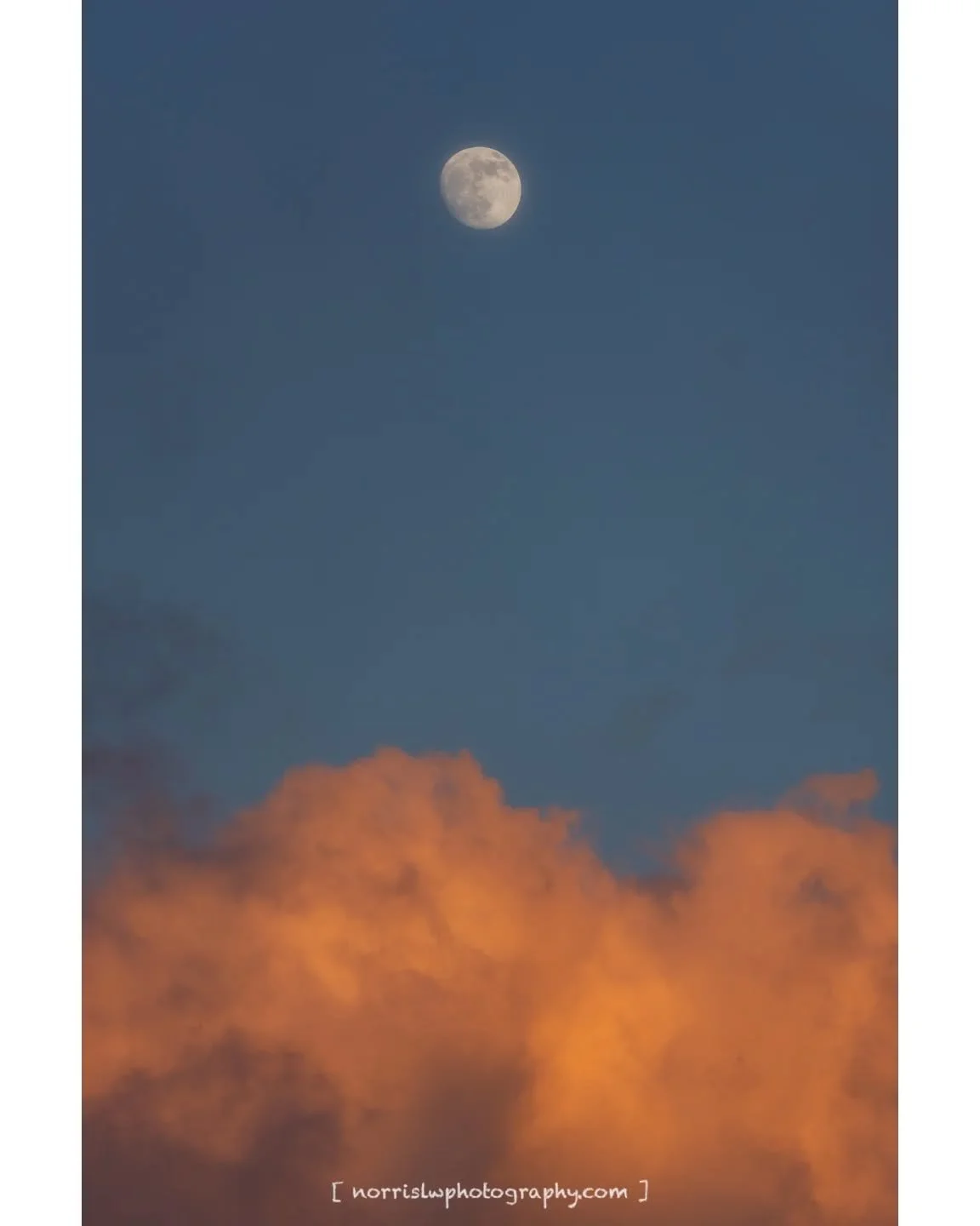 A walk at the park, Moon rising at Sunset.

#moon 
#sunset_and_sunrise 
#skymarvels 
#cloudzdelight 
#landscapephotography
#spreadingaloha 
#bestofthealoahastate 
#luckywelivehawaii 
#ighawaii