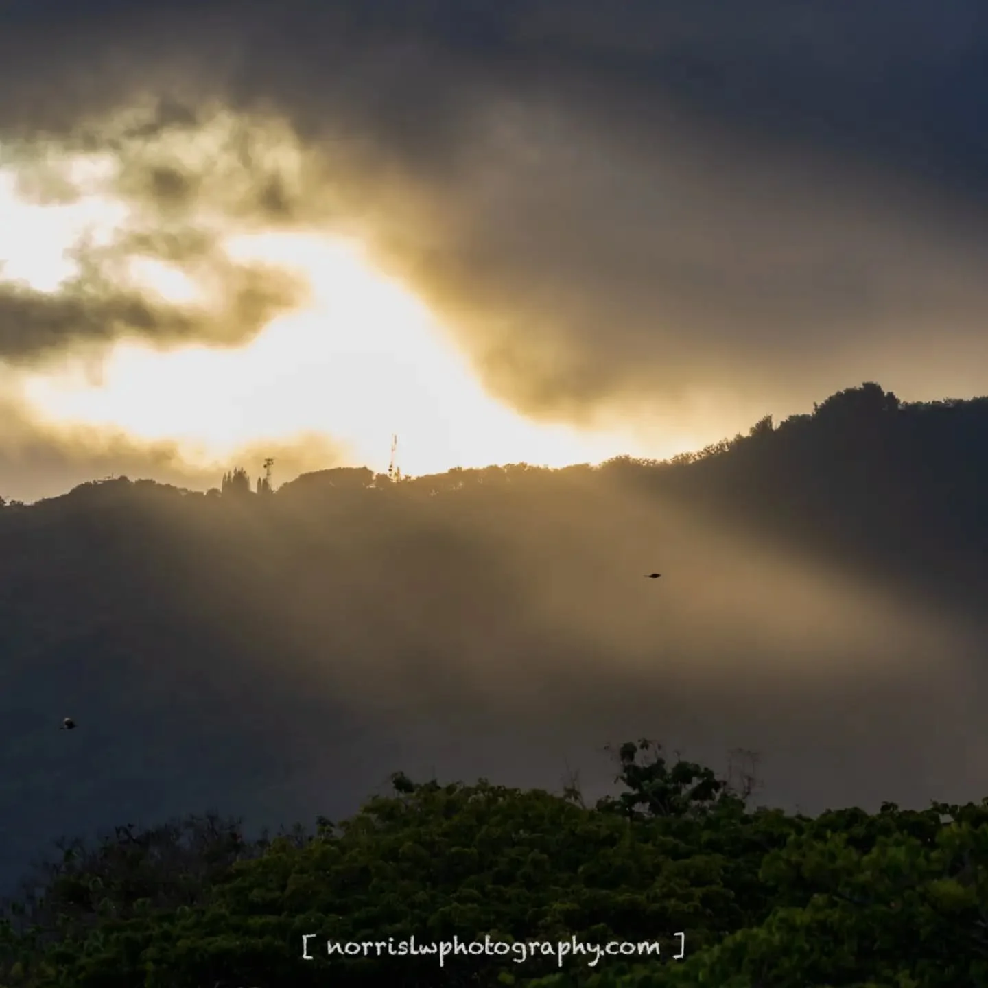 Happy Aloha Friday 🤙 

#alohafriday🌺 #tgif
#sunrays
#fridaymotivation
#weekendmotivation 
#skymarvels #cloudzdelight
#flyaway #adventureawaits
#travelphotography
#sunset_and_sunrise 
#landscapephotography 
#luckywelivehawaii 
#ighawaii
