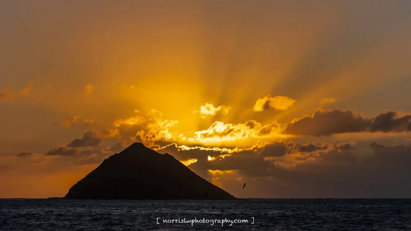 Feeling the warmth of the new week 🌞

#mondaymotivation 
#alohamonday 
#sunrisesunset 
#skymarvels #cloudzdelight
#sunrays
#hawaiilife 
#luckywelivehawaii 
#bestofthealoahastate 
#landscapephotography 
#ighawaii 
#ig_naturelovers
#ig_sunrisesunset