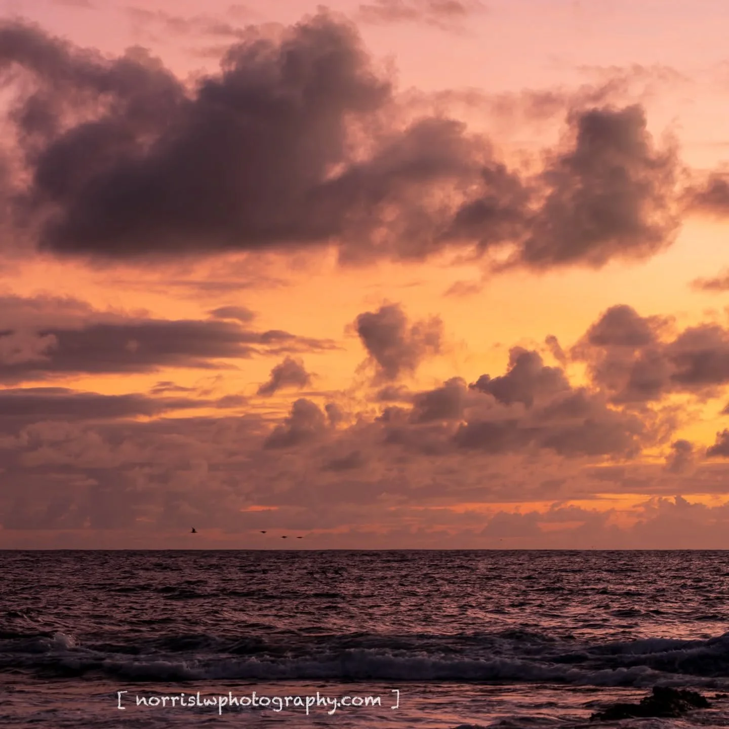 Colorfully FriYay...

#alohafriday
#tgif #weekend 
#motivation 
#skymarvels 
#cloudzdelight 
#protectouroceans 
#landscapephotography 
#naturephotography 
#luckywelivehawaii 
#islandlife 
#ig_hawaii