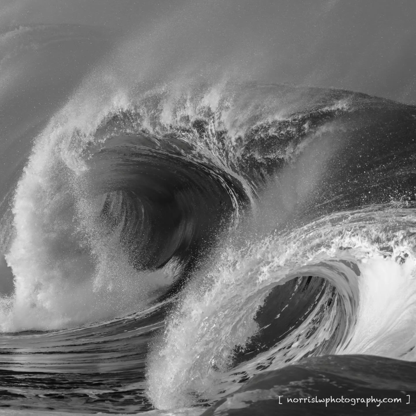 Wild energy, ocean sculpture 🌊🌊🤙

#protectouroceans #surf #surfphotography #hawaii #bwphotography