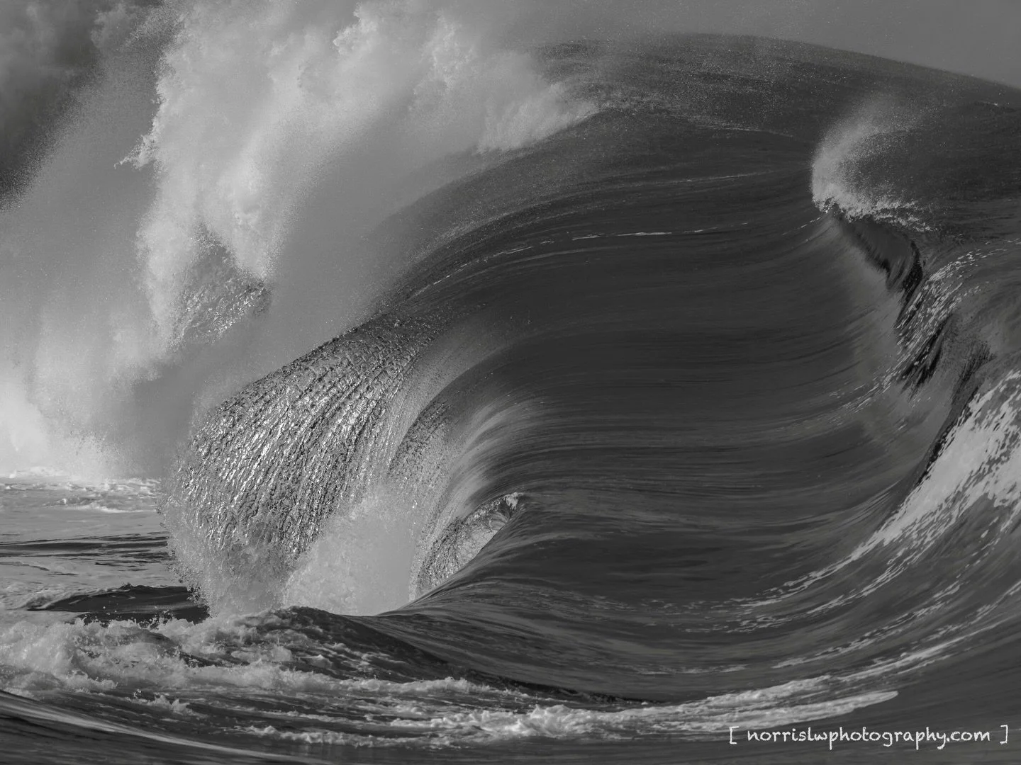 Happy Aloha Friday 😎

#happyalohafriday #protectouroceans #hawaii  #surf #ocean