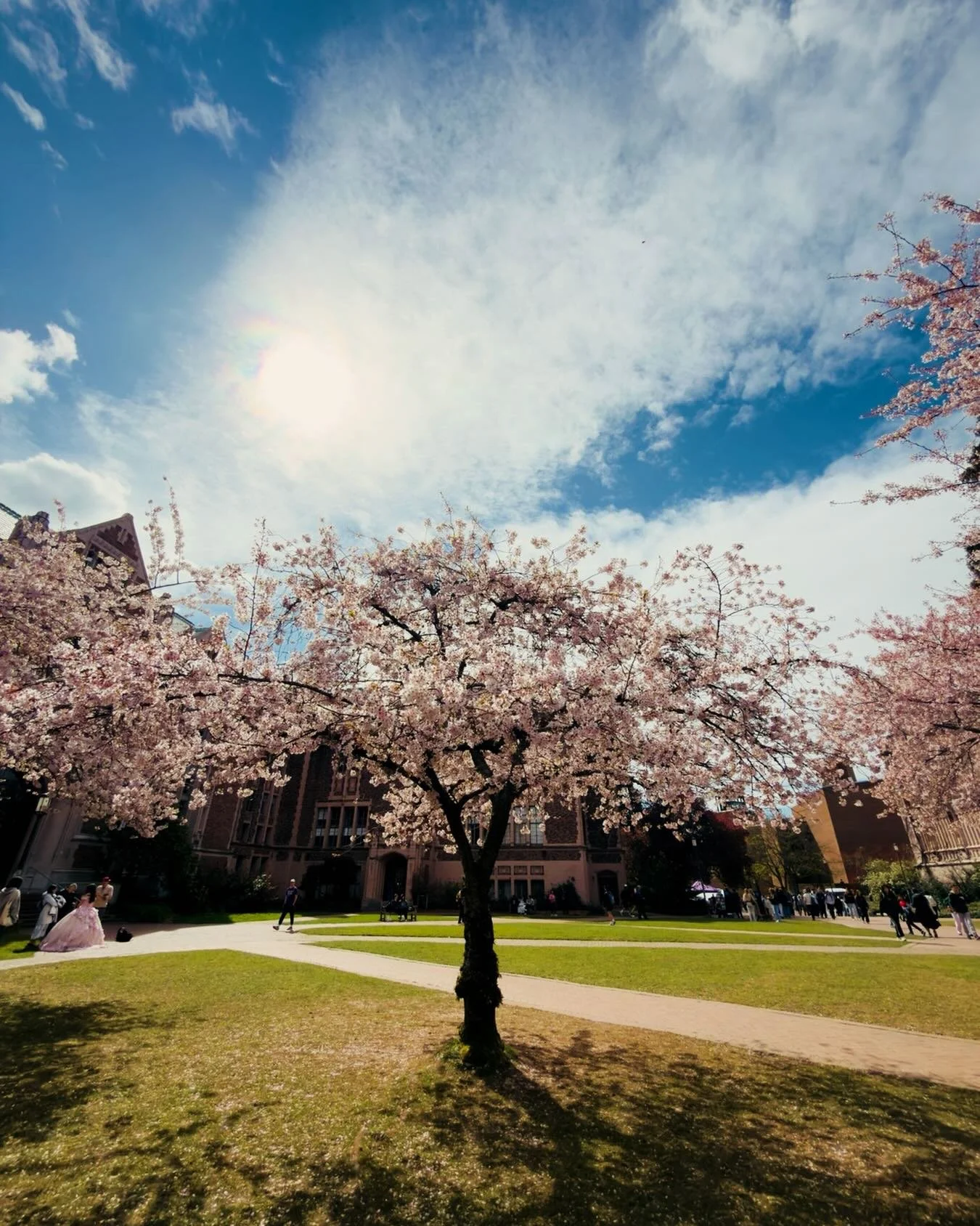 On warner note among cherry blossoms 🌸 😍

@koloheboy 🌸
#uofwa #uwcherryblossom #seattle #cherryblossoms #weekendvibes