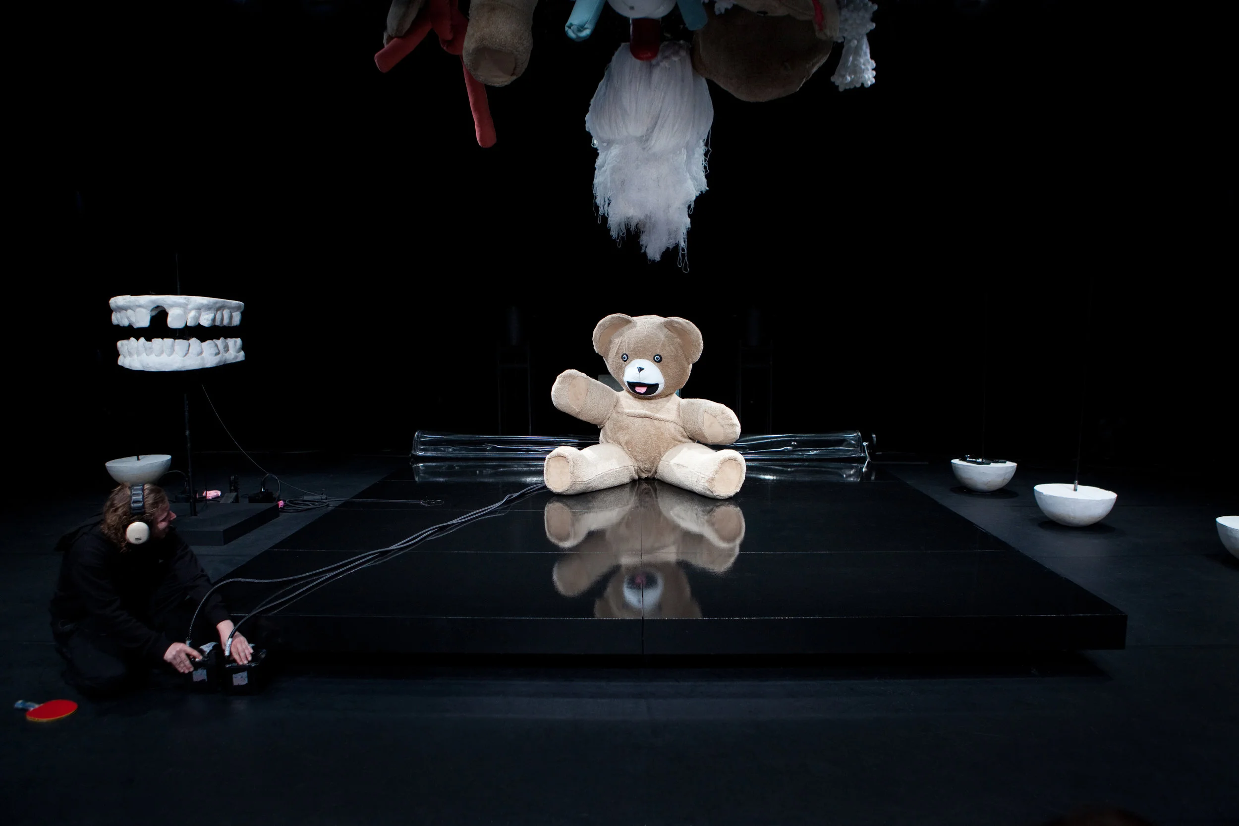 TJP-Big Bears cry too-(c)Reinout Hiel4.jpg