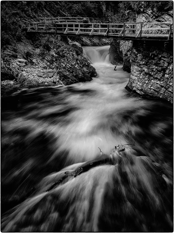 gorge slovenia zoo.jpg