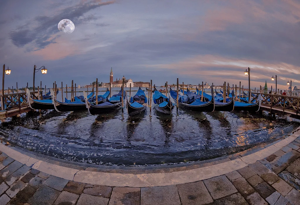 _1010072 copy 13x19.jpg