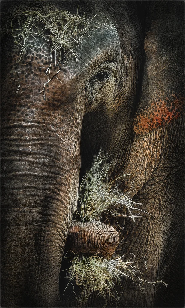 junk in her trunk.JPG