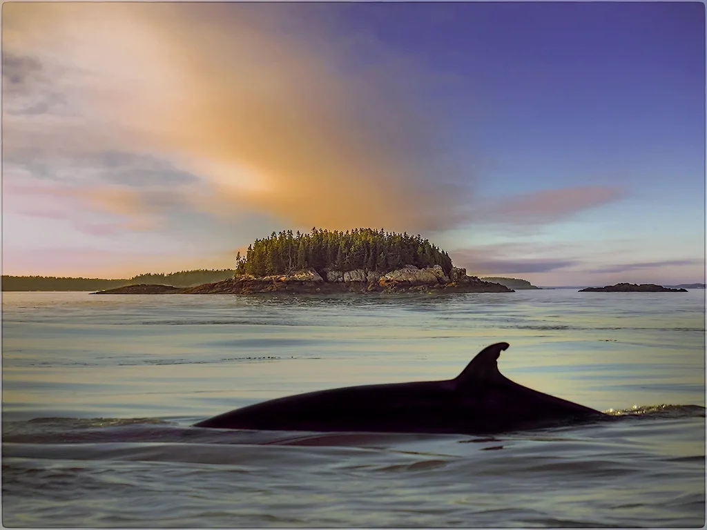 st andrews by the sea canada.jpg