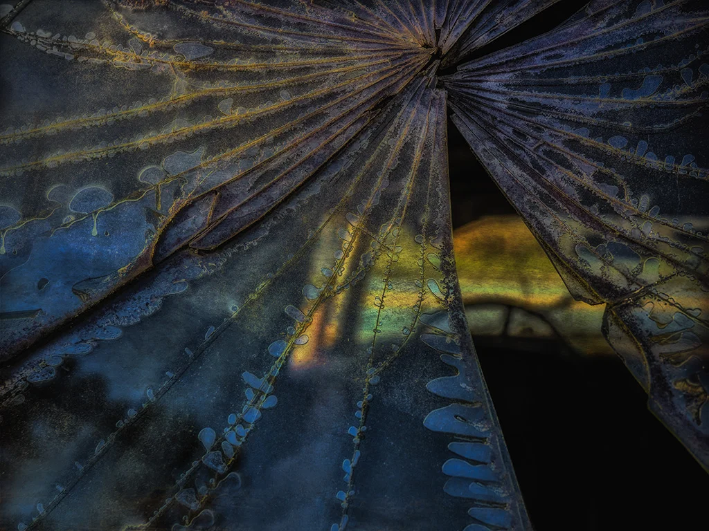 2018 old car city 00045 zoo.jpg