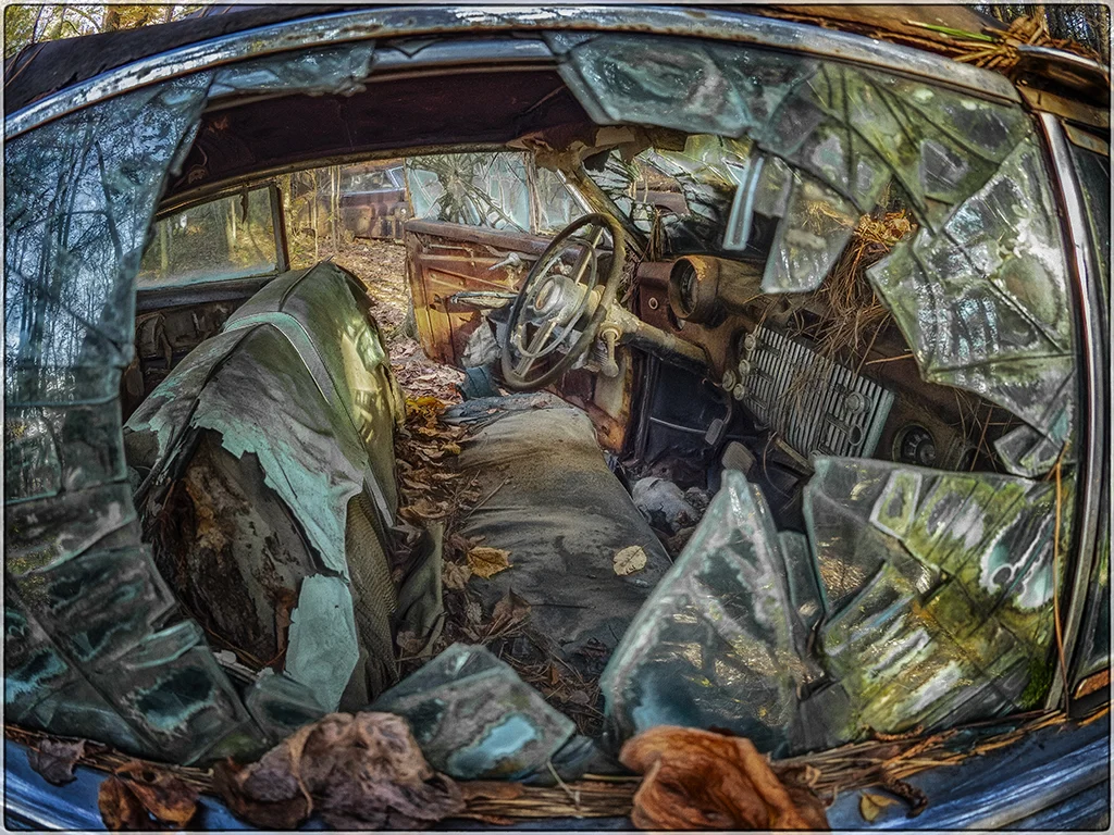 2018 old car city 00227 zoo (1).jpg