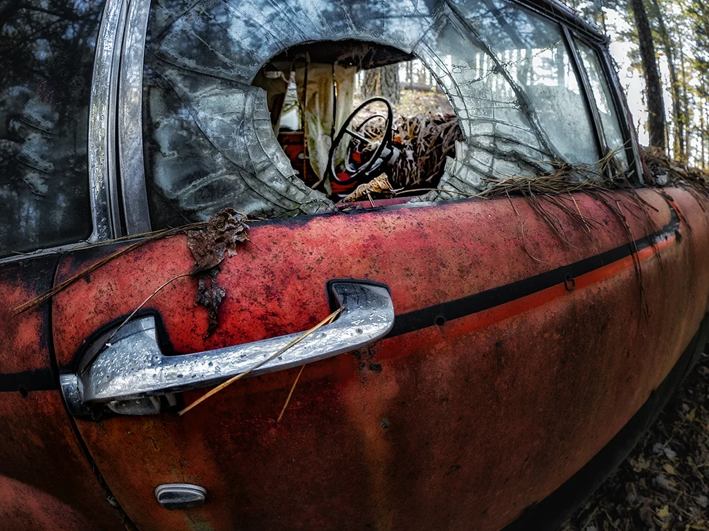 2018 old car city 00279 zoo.jpg