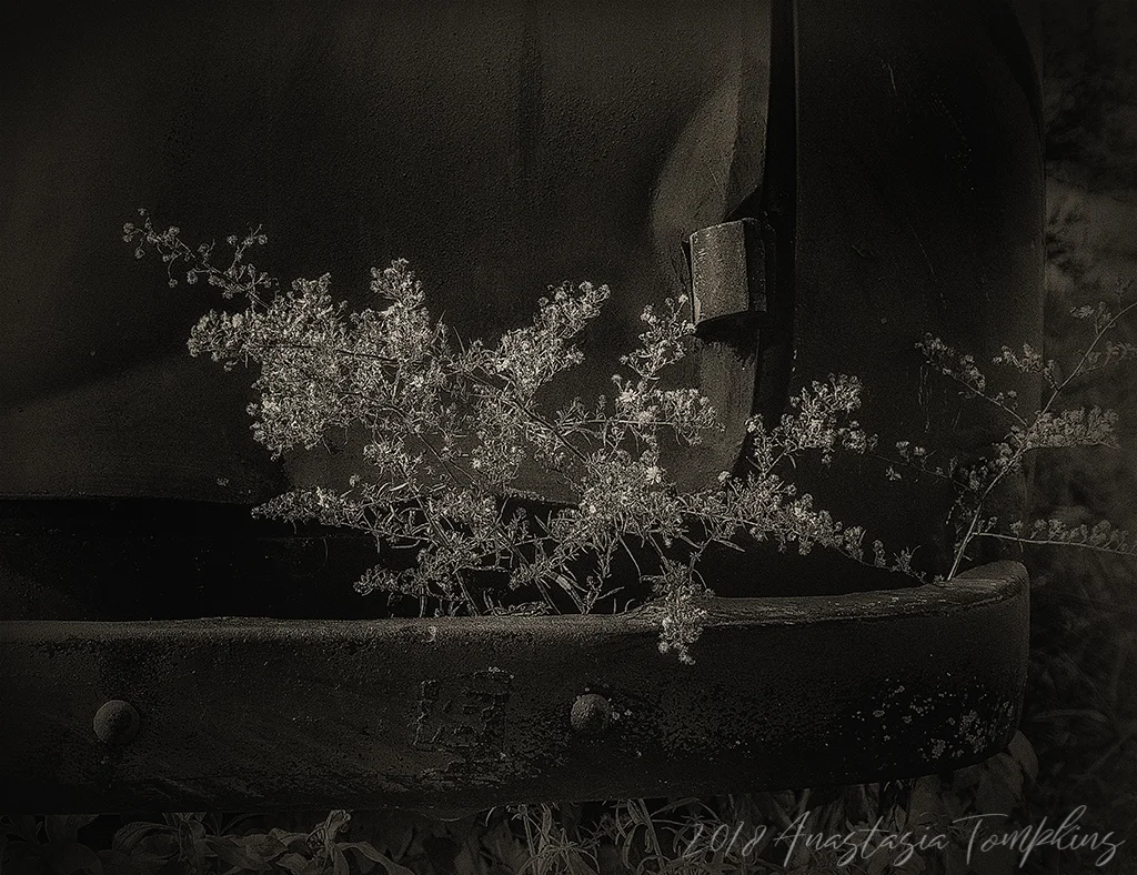 2018 old car city 00055 FB.jpg