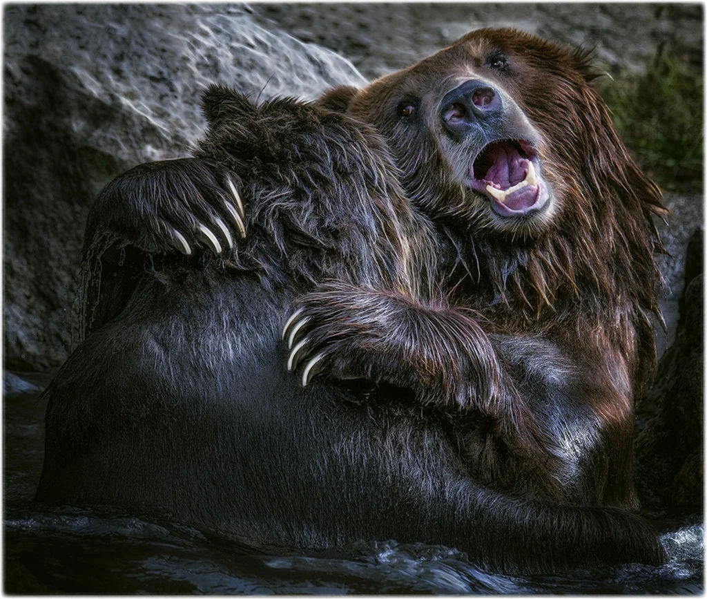 bronx buddies wps.jpg