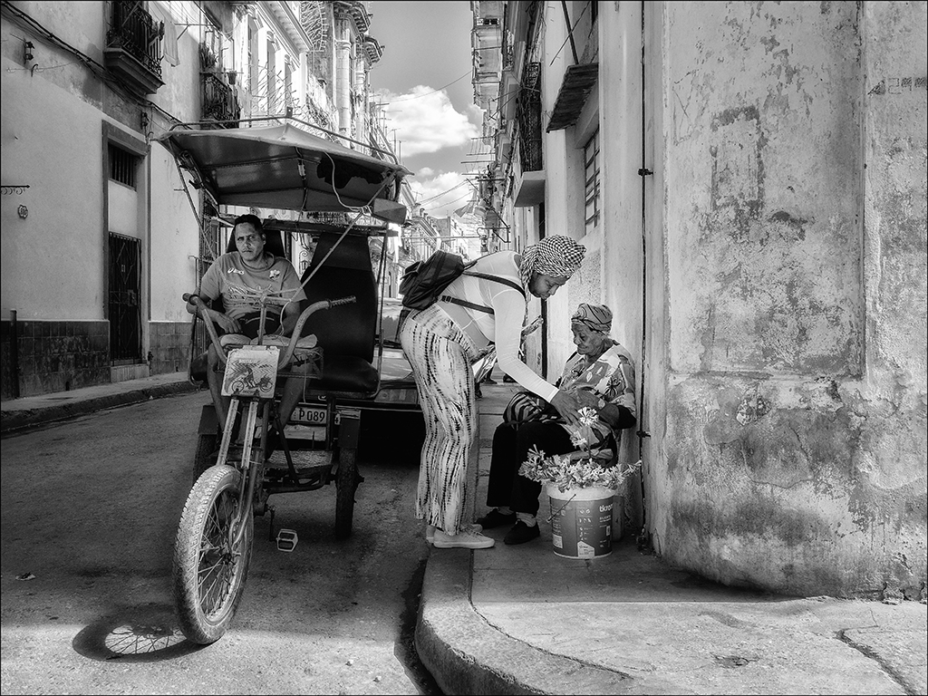 havana tres 03067.jpg