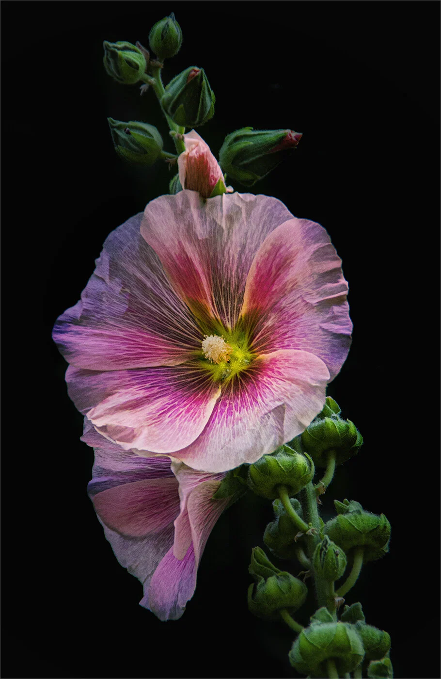 EAST ST PENN_0031.jpg