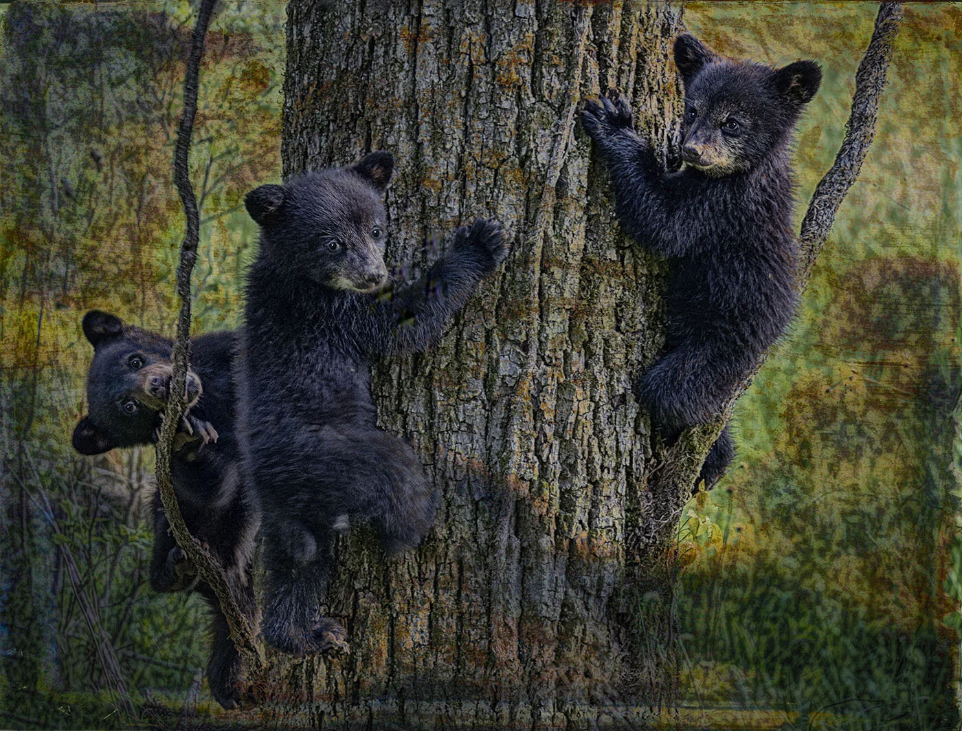 2019 SMOKYs april 01650.jpg