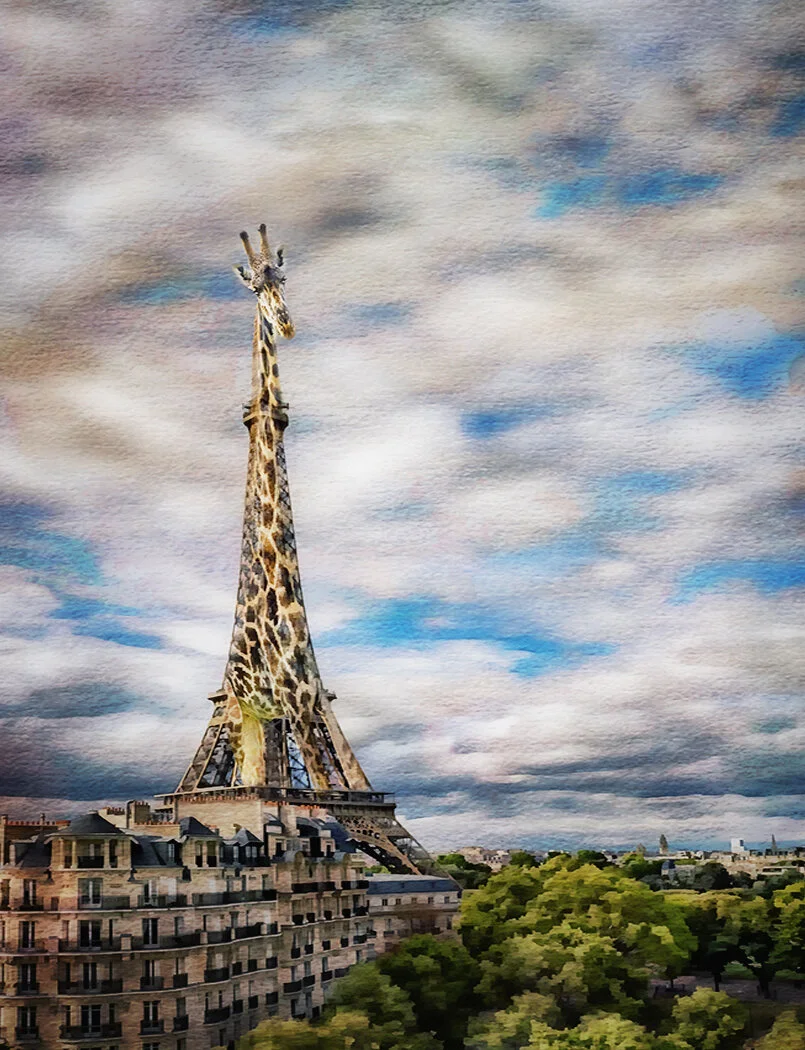 2017 tour eiffel 0008 copy.jpg