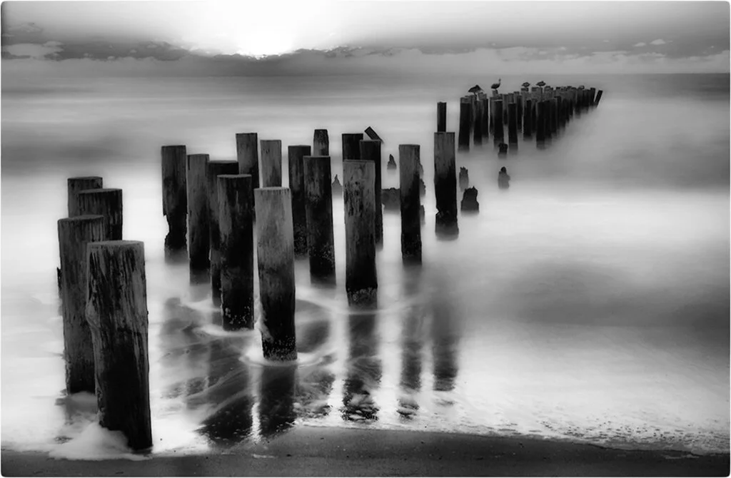 1 sunset pilings BW zoo.jpg