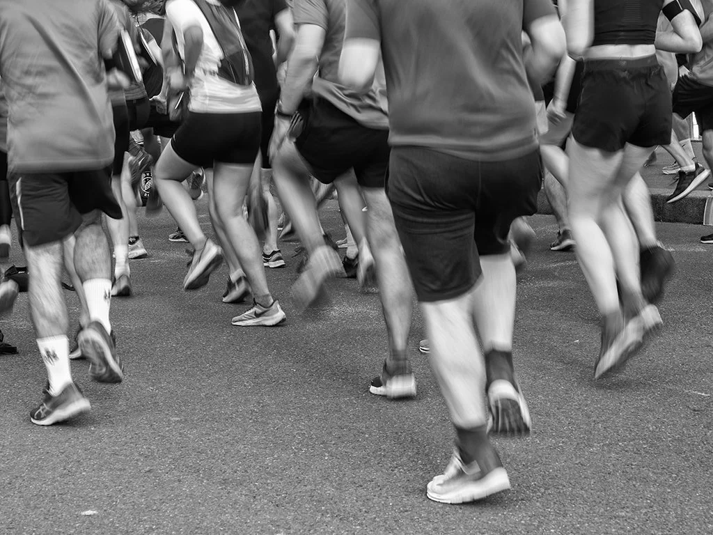 _5300406 (1) copy.jpg