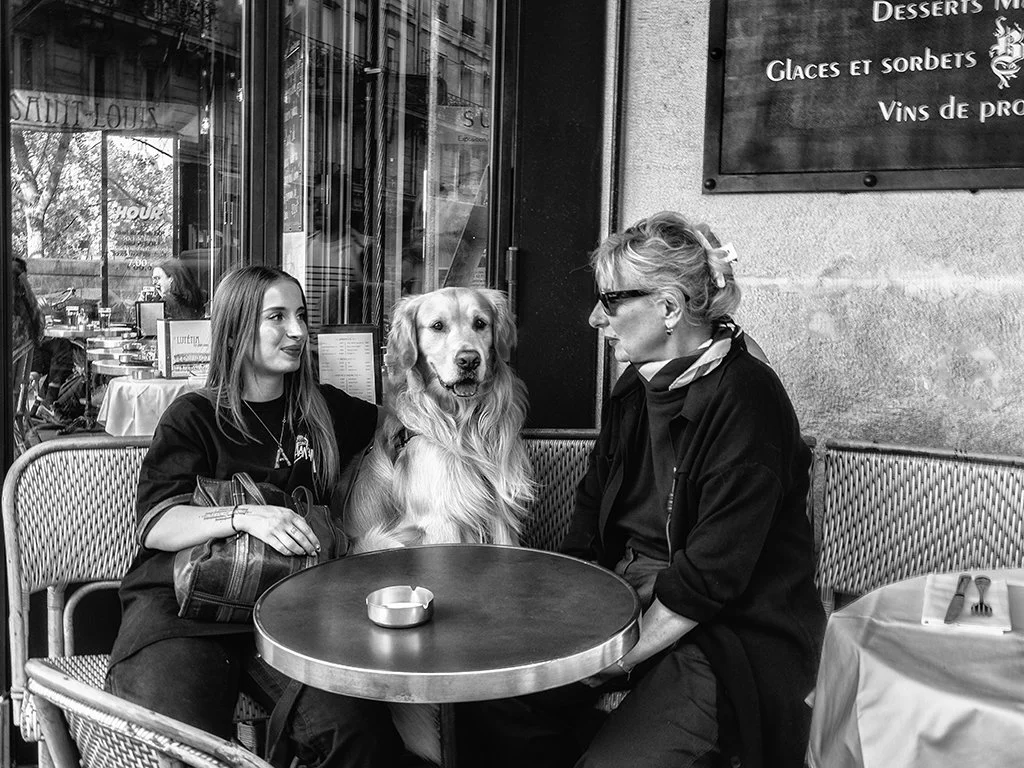 _5300169 (1) copy.jpg