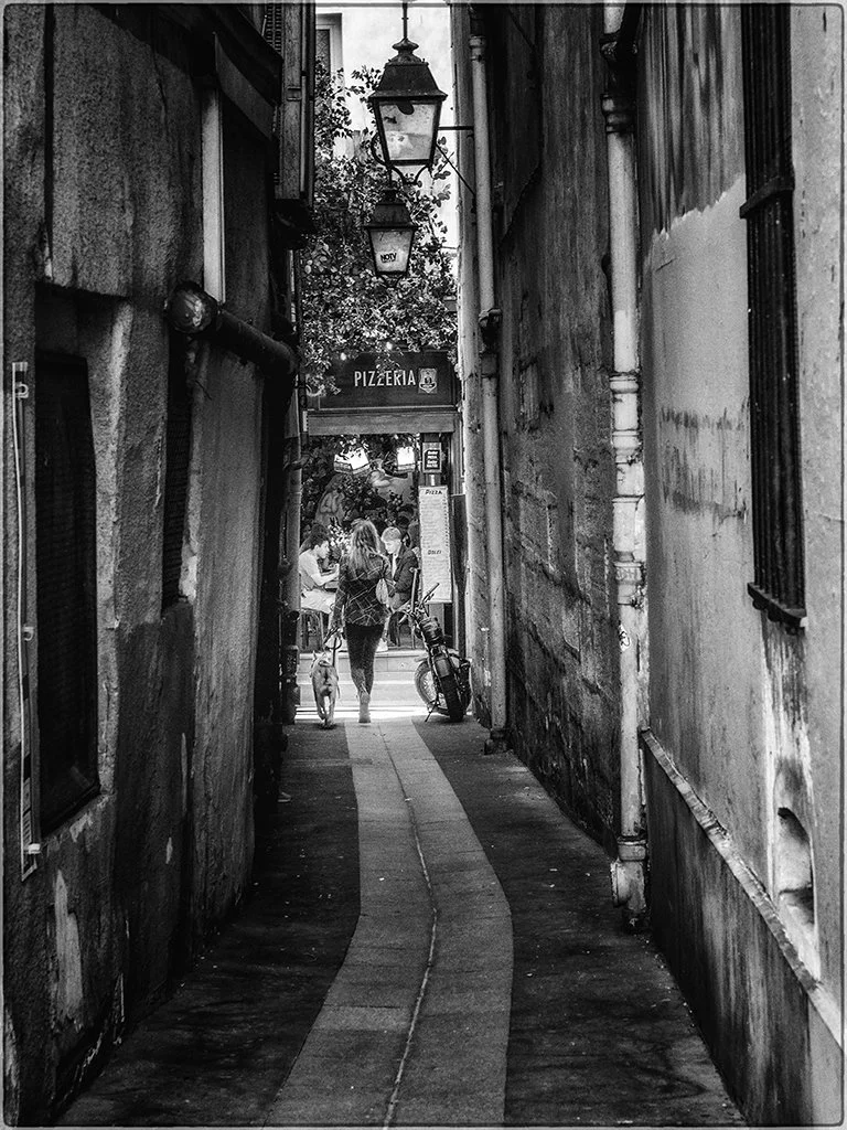 _5300807 (1) copy.jpg