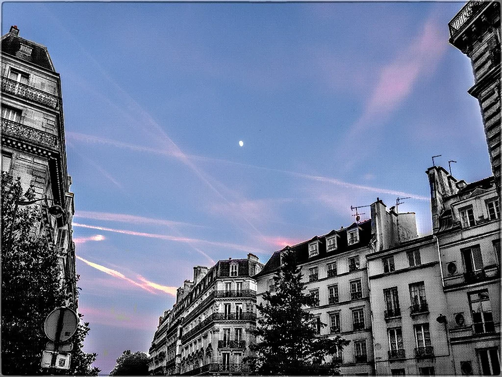 _5300911 (1) copy.jpg