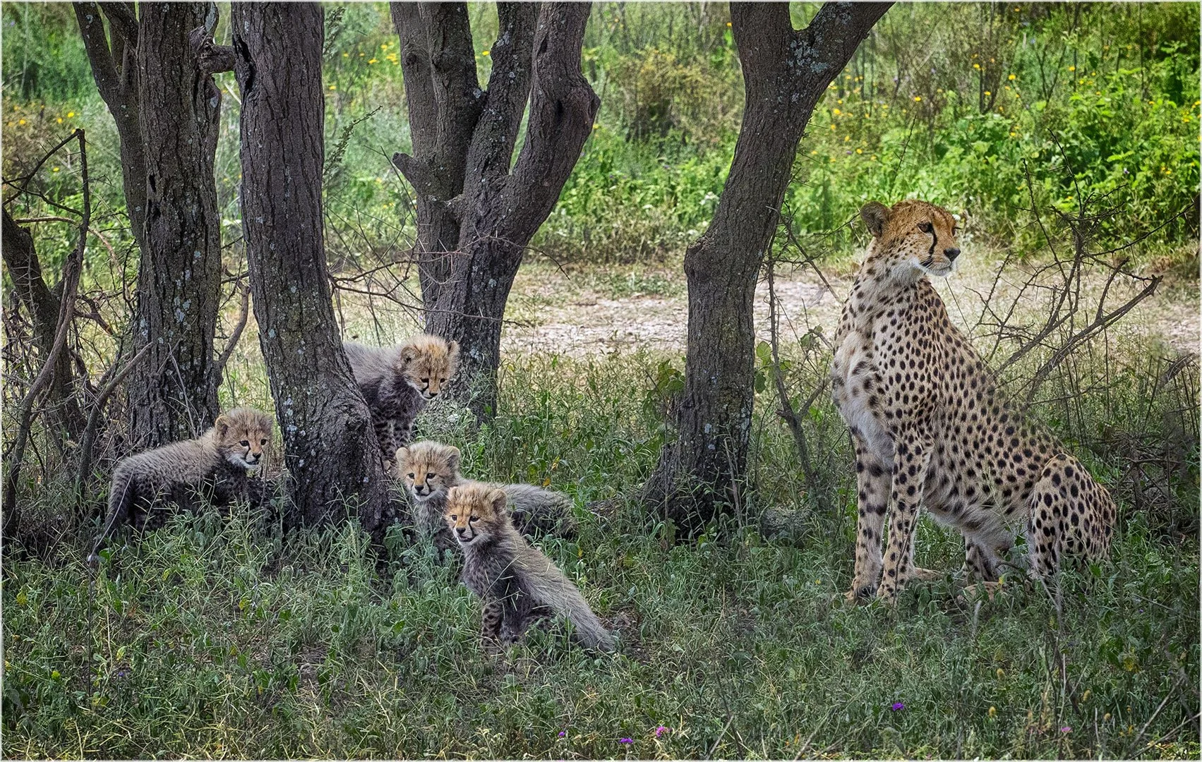 _APT4963-2 copy 2.jpg