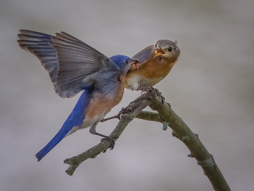 IMG_6248 webcopy.jpg