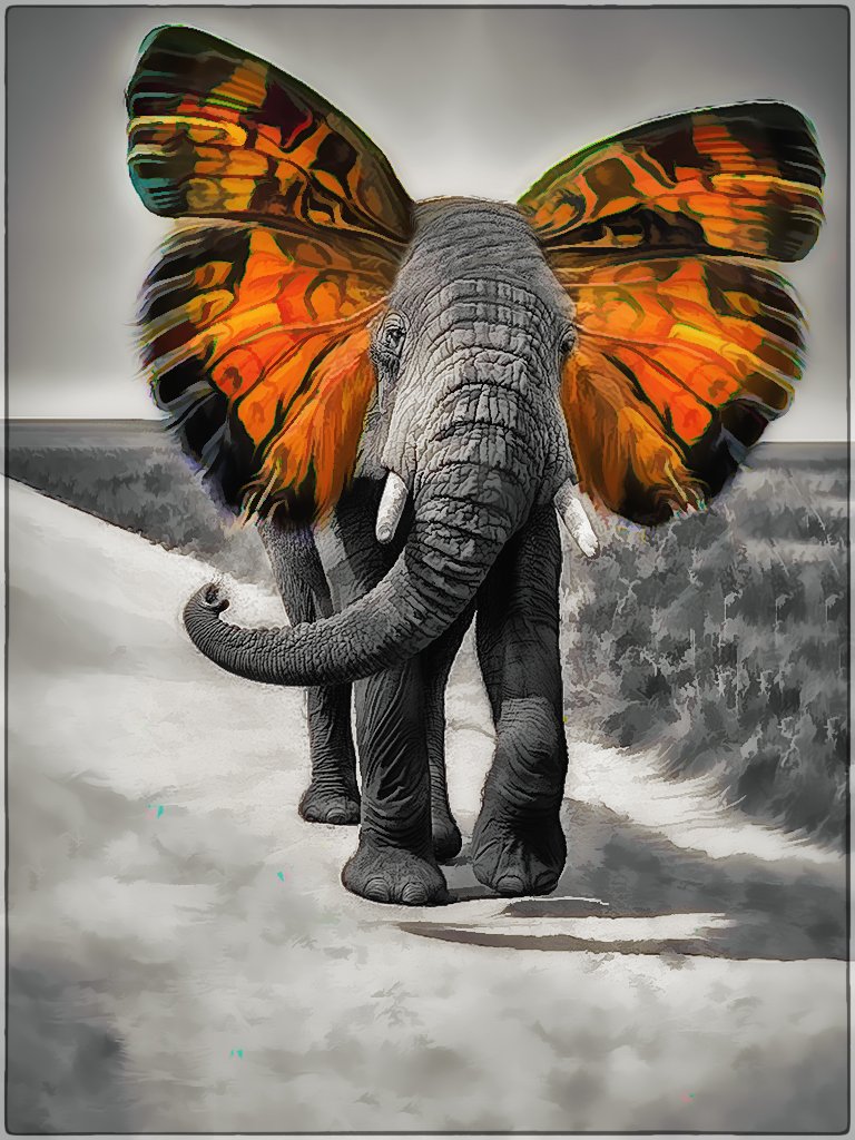 _APT1327 copy copy.jpg